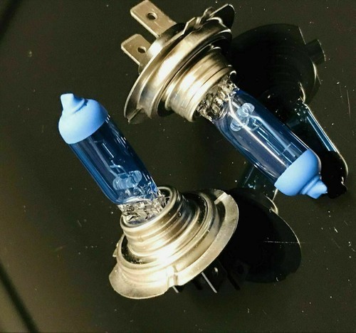 Halogen lampen xenon look - xenon,