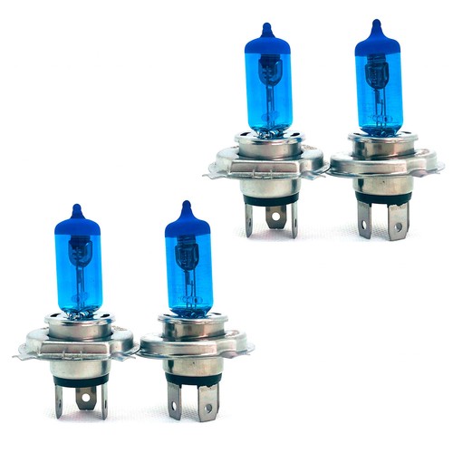 Lampen 55w 12v xenon - 60/55w,